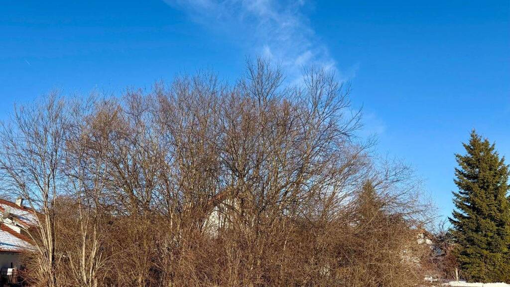 Grundstück zum Kauf 450.000 € 675 m² Grundstück frei ab sofort Peißenberg 82380