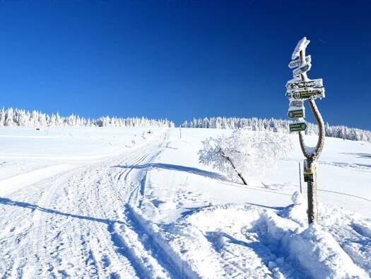 Wohnung zur Miete 342 € 3 Zimmer 57 m² Oberwiesenthal 09484