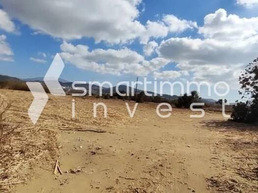 Land-/Forstwirtschaft zum Kauf 160.000 € Hora, Naxos 843 00