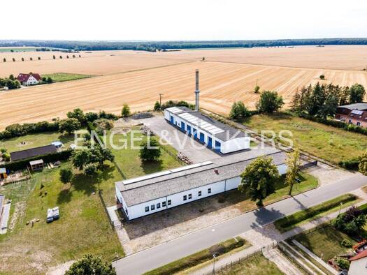 Einfamilienhaus zum Kauf 650.000 € 4 Zimmer 180 m² 6.343 m² Grundstück Rustow Loitz 17121