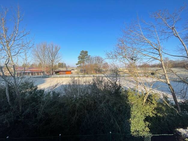 Wohnung zur Miete 695 € 2 Zimmer 50 m² frei ab 01.09.2026 Maichingen Sindelfingen / Maichingen 71069
