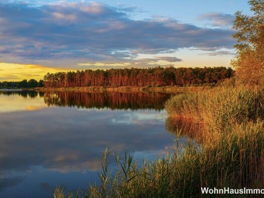 Wohn- und Geschäftshaus zum Kauf provisionsfrei als Kapitalanlage geeignet 340.000 € 7 Zimmer 194 m² 449 m² Grundstück Zerpenschleuse Wandlitz 16348