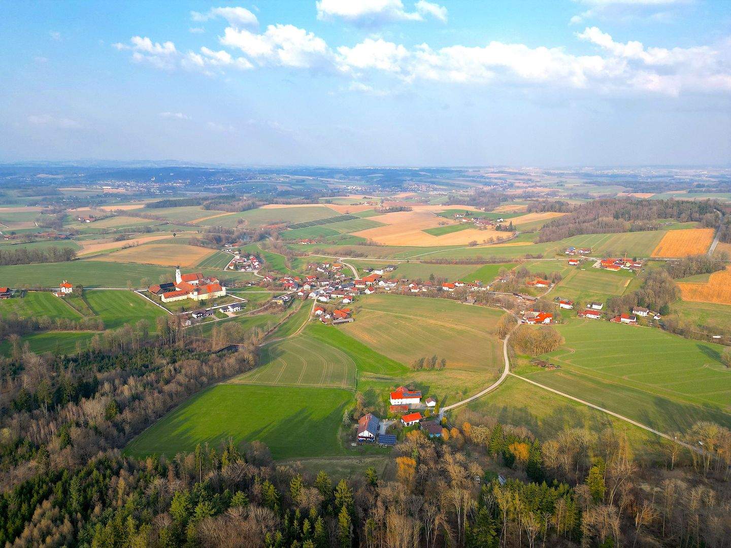 Forstwirtschaft zum Kauf - Mehr