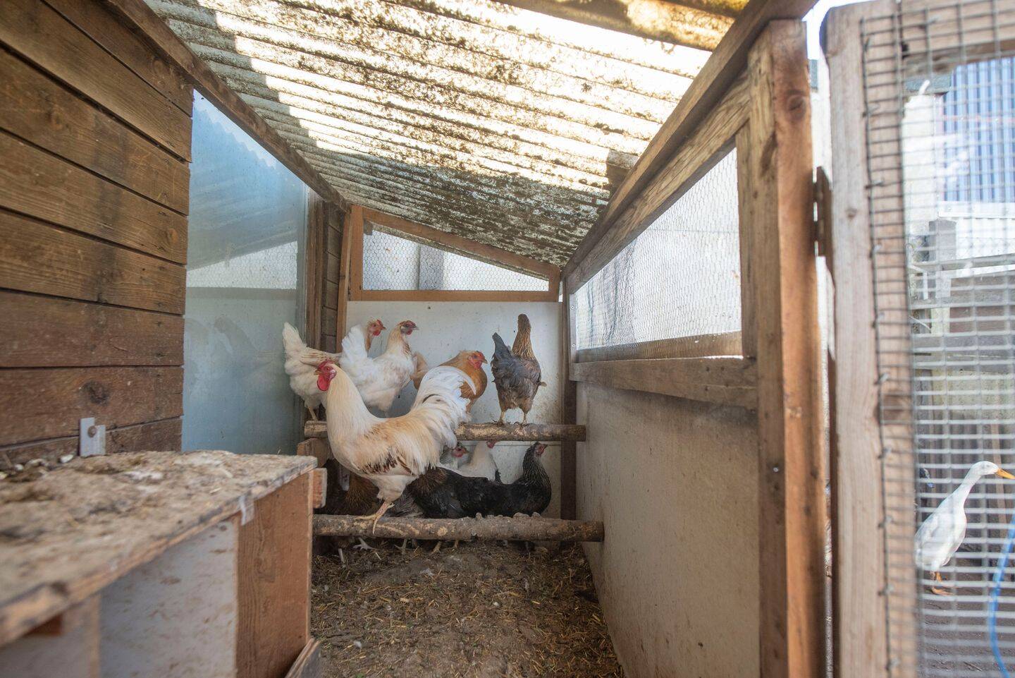 Property thumbnail 5