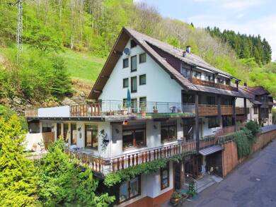 Wohnung zur Miete 390 € 1 Zimmer 20 m² Geschoss 2/4 frei ab sofort Bad Griesbach Bad Peterstal-Griesbach 77740