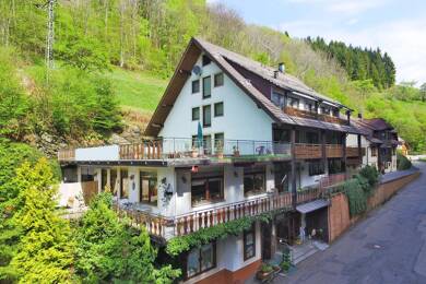 Wohnung zur Miete 390 € 1 Zimmer 20 m² frei ab sofort Bad Griesbach Bad Peterstal-Griesbach 77740