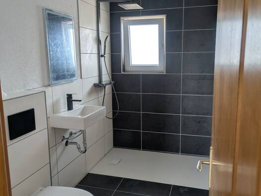 Wohnung zur Miete 650 € 3 Zimmer 60 m² Geschoss 1/2 frei ab sofort Stennweiler Schiffweiler 66578