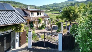 Einfamilienhaus zum Kauf 1.350.000 € 10 Zimmer 335 m² 3.156 m² Grundstück Bickensohl Vogtsburg i.K. / Bickensohl 79235