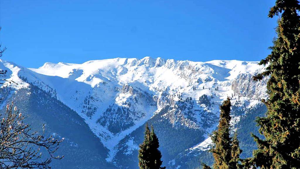 Einfamilienhaus zum Kauf 250.000 € 4 Zimmer 140 m² Arachova