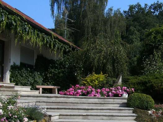 Haus zum Kauf provisionsfrei 895.000 € 7 Zimmer 200 m² 4.000 m² Grundstück Pinzberg 91361