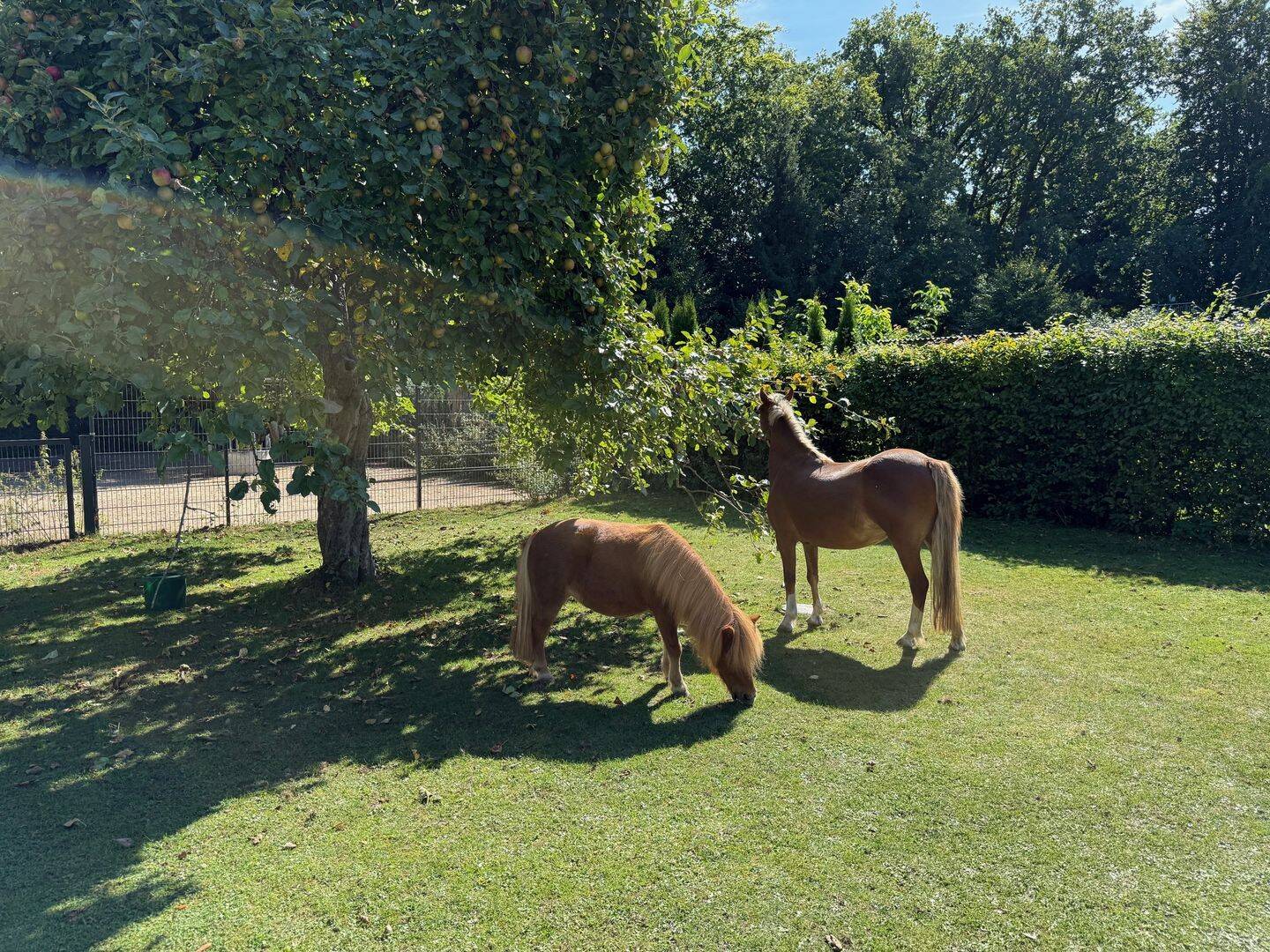 Property thumbnail 11