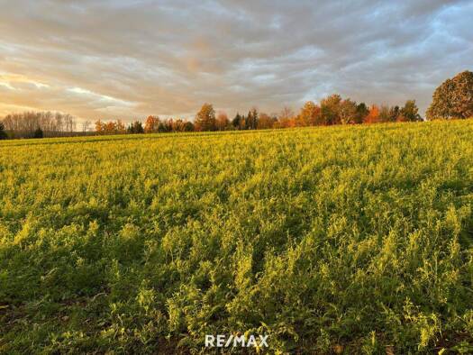 Einfamilienhaus zum Kauf 319.000 € 5 Zimmer 162 m² 1.150 m² Grundstück St. Florian am Inn 4782