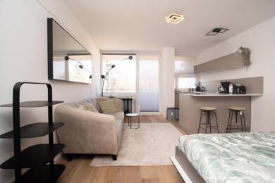 Wohnung zur Miete Wohnen auf Zeit 1.450 € 1 Zimmer 30 m² frei ab sofort Pasing-Obermenzing München 81241