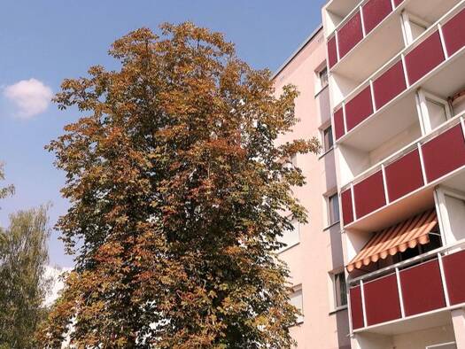 Wohnung zur Miete 335 € 3 Zimmer 57,8 m² 3. Geschoss Erhard-Hübener-Straße 34 Silberhöhe Süd 06132