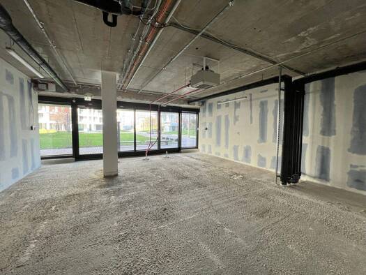 Laden zur Miete 27,50 € Wien 1220