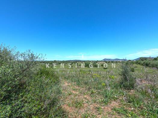 Grundstück zum Kauf provisionsfrei 450.000 € 49.711 m² Grundstück Llucmajor 07620