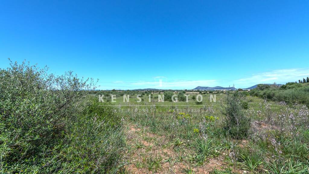 Grundstück zum Kauf provisionsfrei 450.000 € 49.711 m² Grundstück Llucmajor 07620