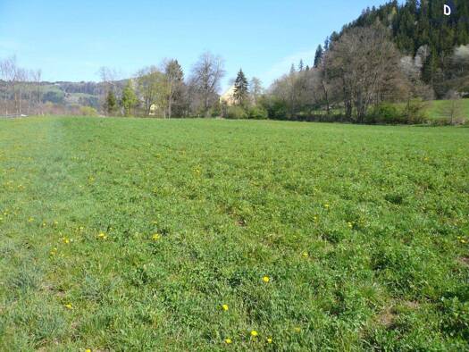 Landwirtschaftliche Fläche zum Kauf 89.000 € 9.425 m² Grundstück Feldkirchen in Kärnten 9560