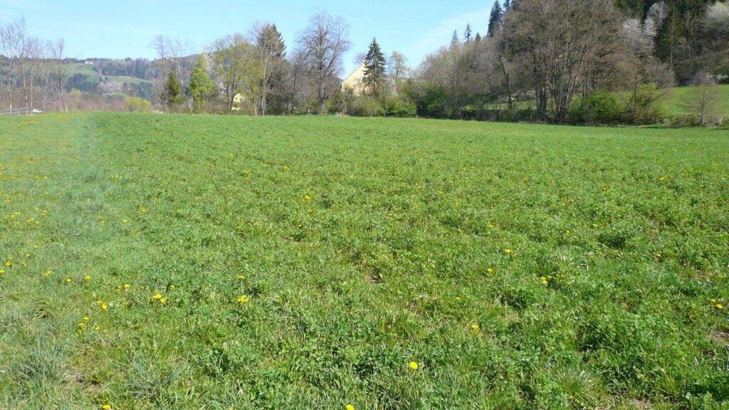 Landwirtschaftliche Fläche zum Kauf 89.000 € 9.425 m² Grundstück Feldkirchen in Kärnten 9560