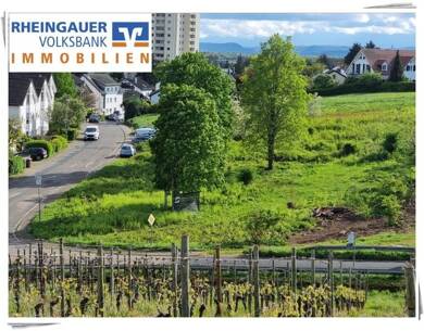 Grundstück zum Kauf 370.800 € 515 m² Grundstück Geisenheim Geisenheim 65366