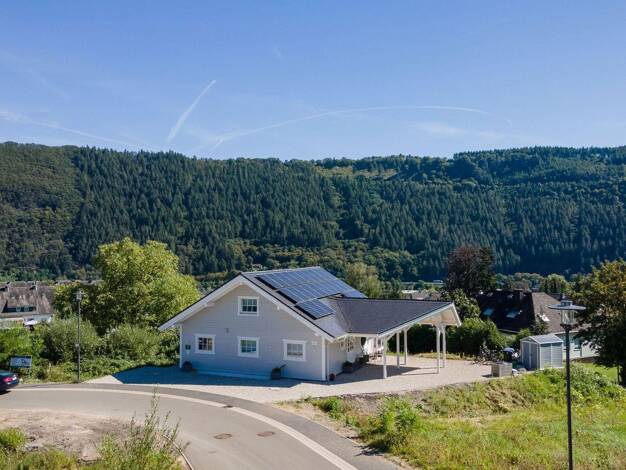 Mehrfamilienhaus zum Kauf provisionsfrei 11 Zimmer 253 m² 770 m² Grundstück Rieslingstrasse 20 Traben Traben-Trarbach 56841