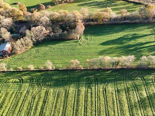 Einfamilienhaus zum Kauf 179.000 € 3 Zimmer 95 m² 20.369 m² Grundstück Krumstedt 25727
