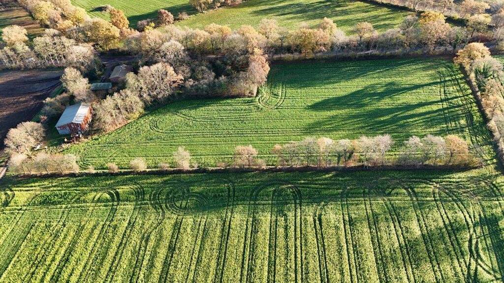 Einfamilienhaus zum Kauf 179.000 € 3 Zimmer 95 m² 20.369 m² Grundstück Krumstedt 25727