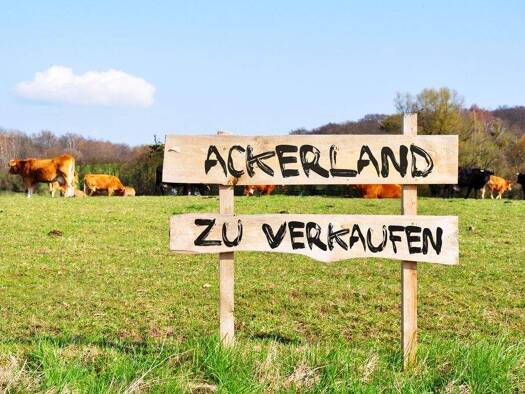 Land-/Forstwirtschaft zum Kauf 470.000 € Hilkenbrook 26897
