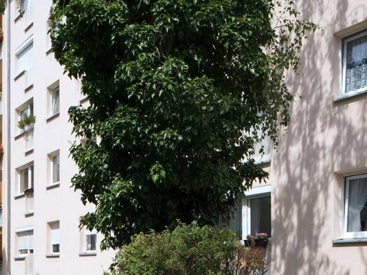 Wohnung zur Miete 425 € 2 Zimmer 44,2 m² 2. Geschoss frei ab 01.08.2026 Findelwiesenstr. 34 Glockenhof Nürnberg 90478