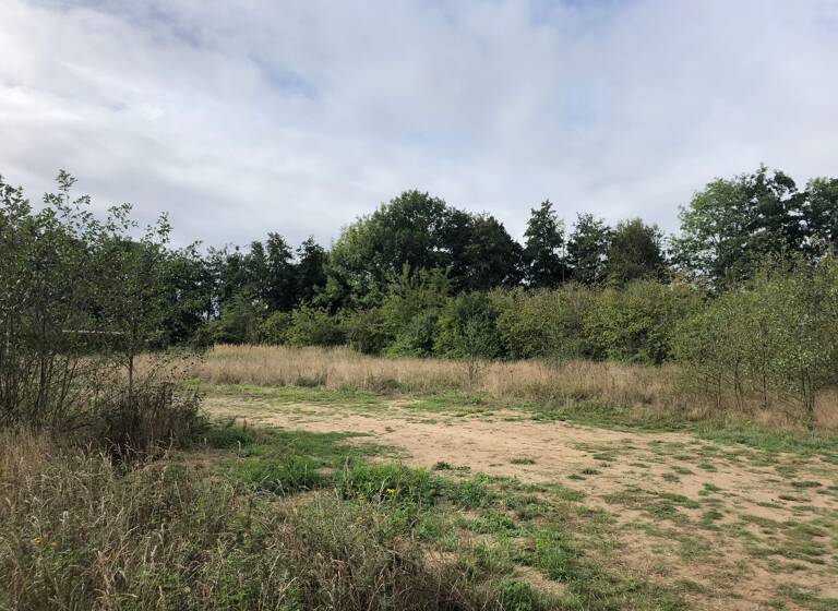 Grundstück zum Kauf 162.000 € 360 m²<br/>Grundstück ab sofort<br/>Verfügbarkeit Emsdetten 48282