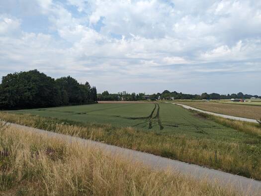 Land-/Forstwirtschaft zum Kauf provisionsfrei 157.000 € 6.280 m² Grundstück Hornstorf Straubing 94315