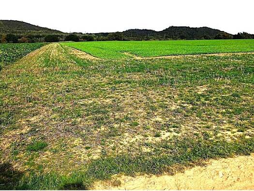 Land-/Forstwirtschaft zum Kauf 23.209 m² Grundstück Reifeld Duffesheide Alsdorf 52477