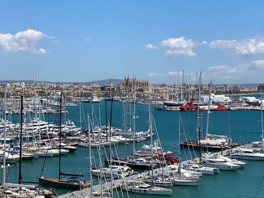 Wohnung zum Kauf provisionsfrei 398.000 € 2 Zimmer 56 m² 6. Geschoss Palma 07014