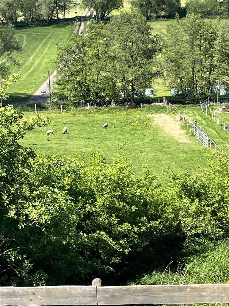 Einfamilienhaus zum Kauf - Widok 4