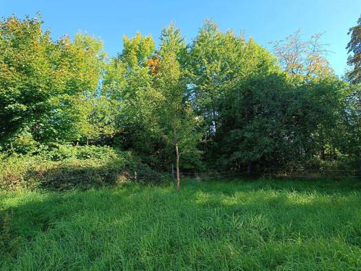 Grundstück zum Kauf provisionsfrei 669.000 € 3.320 m² Grundstück Breitenberg 94139