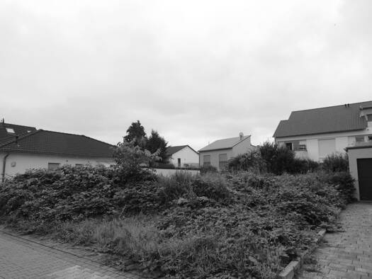 Grundstück zum Kauf 300.000 € 404 m² Grundstück Crumstadt Riedstadt 64560