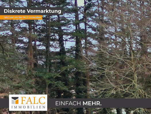 Haus zum Kauf 1.450.000 € 7 Zimmer 220 m² 15.816 m² Grundstück Neuses Mömbris-Niedersteinbach 63776