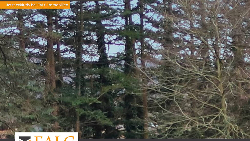 Haus zum Kauf 1.450.000 € 7 Zimmer 220 m² 15.816 m² Grundstück Neuses Mömbris-Niedersteinbach 63776