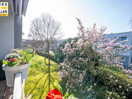 Wohnung zum Kauf 229.000 € 3 Zimmer 72 m² 1. Geschoss Horrem Kerpen 50169