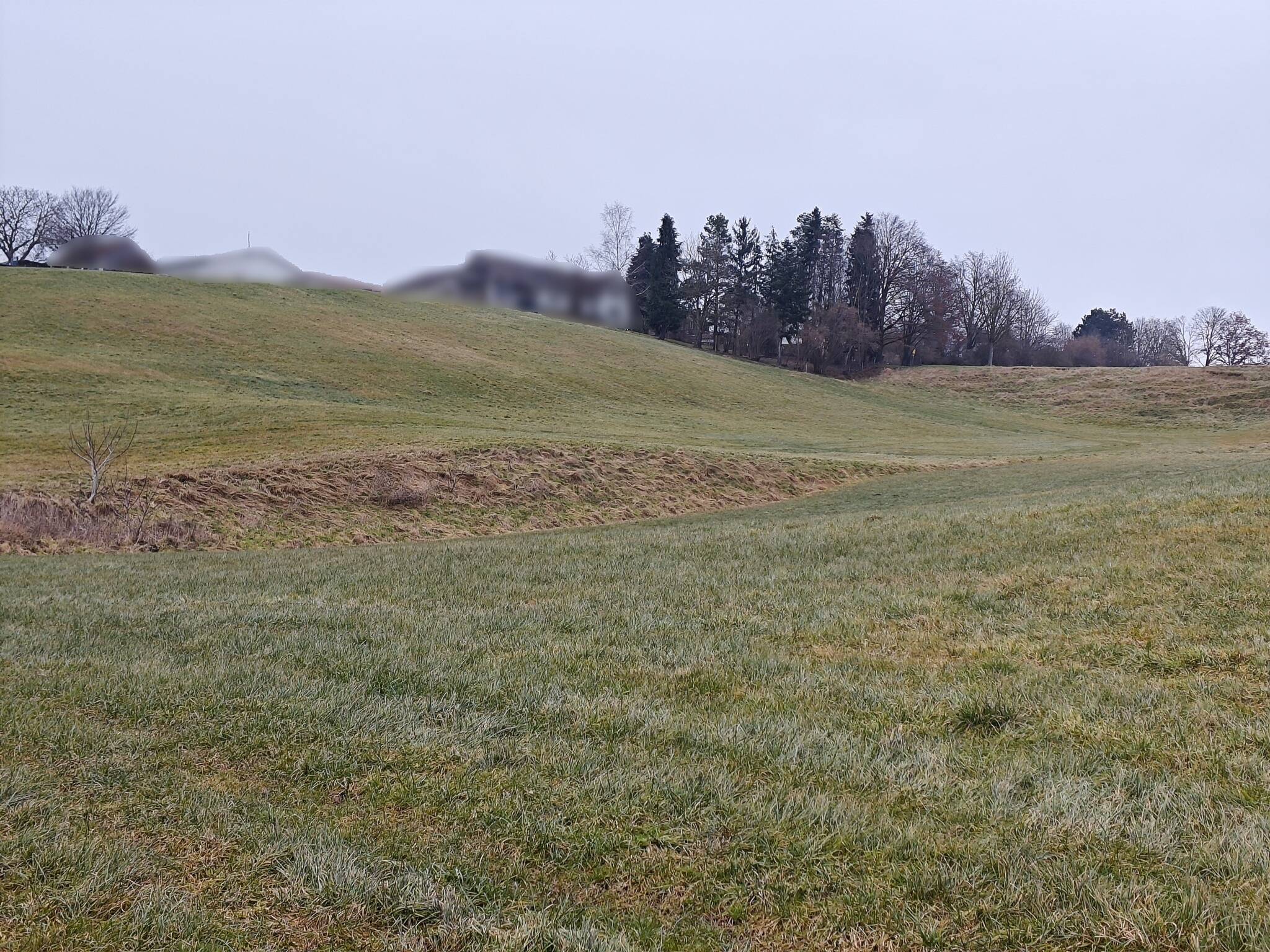 Land-/Forstwirtschaft zum Kauf