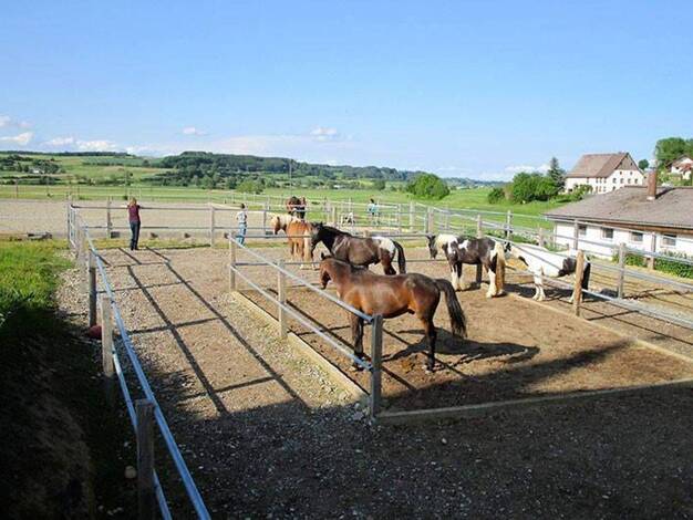 Reiterhof zum Kauf provisionsfrei 1.380.000 € Ringgenbach Messkirch 88605