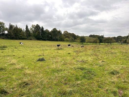 Land-/Forstwirtschaft zum Kauf 55.000 € 6.138 m² Grundstück Linnich Linnich / Boslar 52441