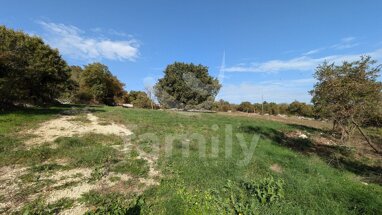 Land-/Forstwirtschaft zum Kauf 208.500 € Barban center