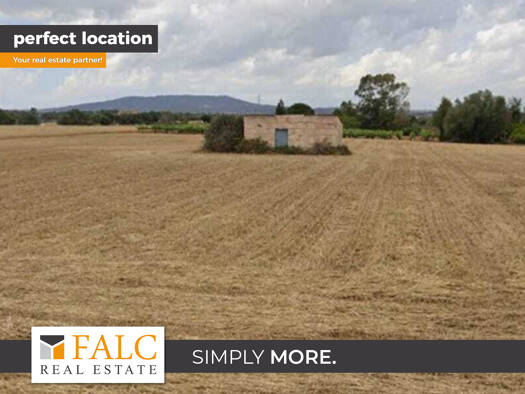 Grundstück zum Kauf provisionsfrei 200.000 € 22.000 m² Grundstück Manacor 07500