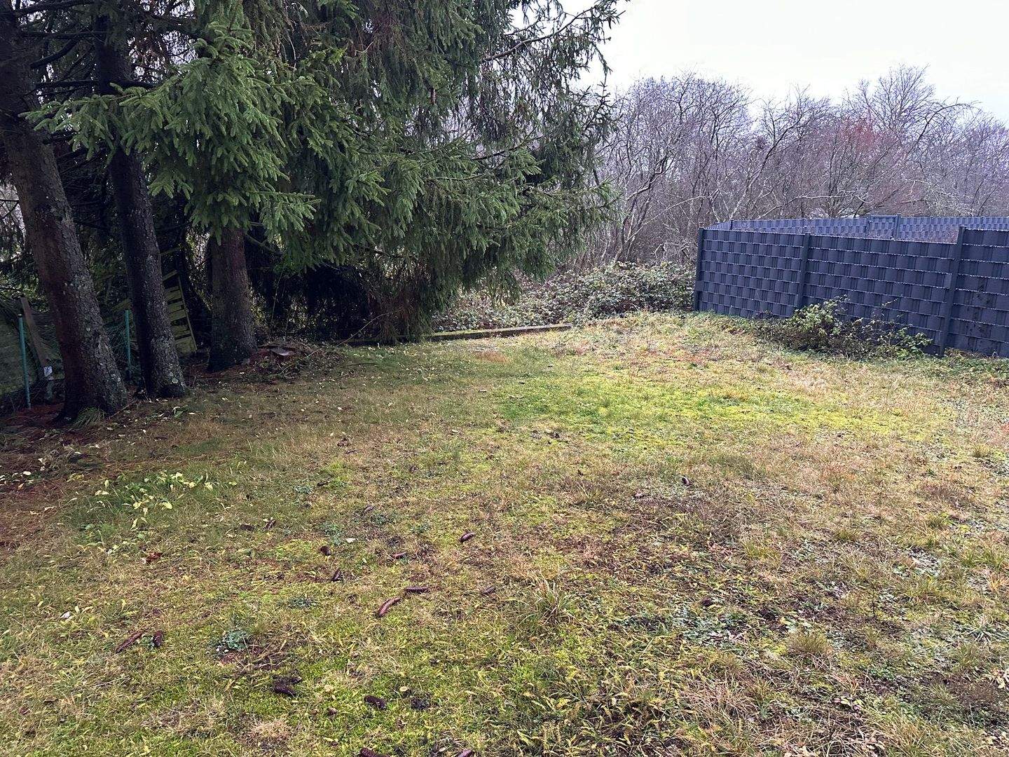 Einfamilienhaus zum Kauf - Ansicht 5