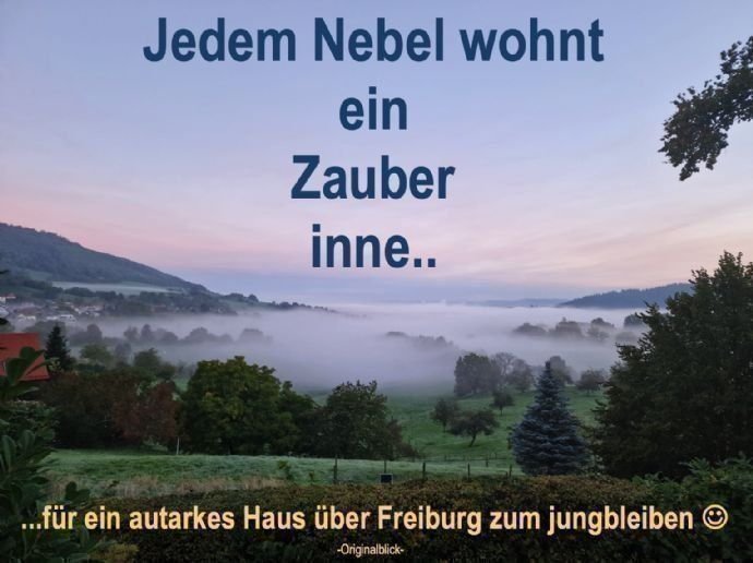 Grundstück zum Kauf 1.095.000 € 1.188 m²<br/>Grundstück Im Vogelbach 2 Wittnau 79299