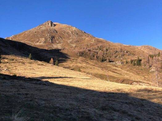 Land-/Forstwirtschaft zum Kauf 66.000 € 57.108 m² Grundstück Stall 9832