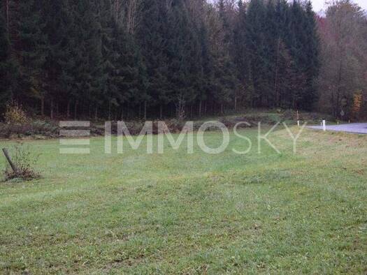 Gewerbegrundstück zum Kauf 140.000 € 3.372 m² Grundstück Gramastetten 4201