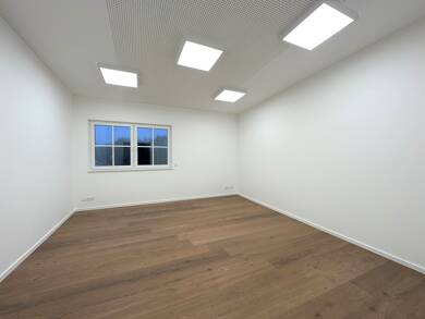 Bürofläche zur Miete provisionsfrei 300 € 1 Zimmer 19 m² Bürofläche teilbar ab 19 m² Weseke Borken 46325