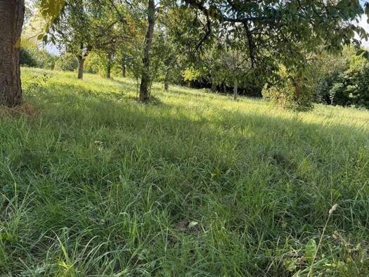 Grundstück zum Kauf 170.000 € 490 m² Grundstück Niebelsbach Keltern 75210